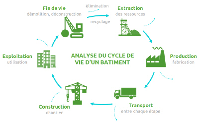 cycle de vie